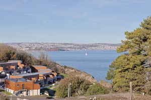 Photo 1- click for photo gallery